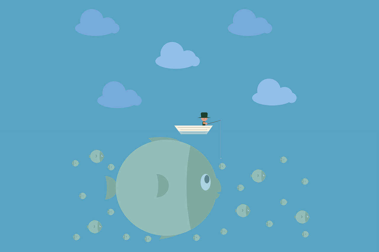 鸭梨鸭梨 v1.2.1 - 免费看动漫追番神器，去广告纯净版下载